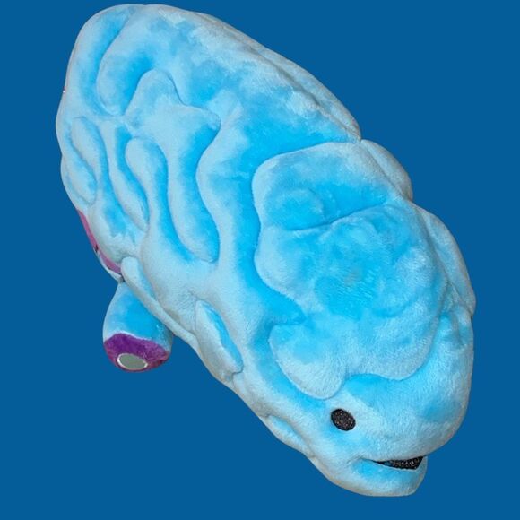 NWT I Heart Guts Brain All You Need Is Lobe Stuffed Plush Anatomy Toy STEM 11” - Picture 4 of 7